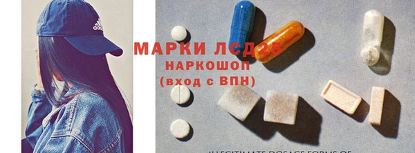 PSILOCYBIN Вяземский