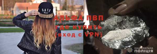 PSILOCYBIN Вяземский