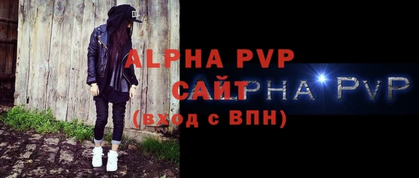 PSILOCYBIN Вяземский