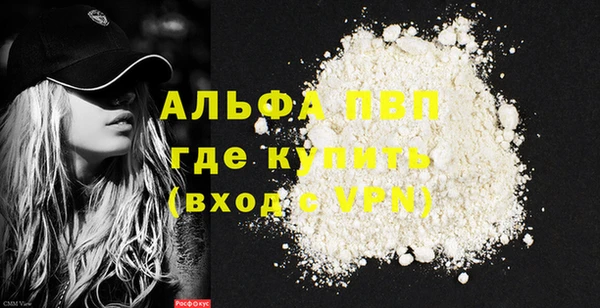 PSILOCYBIN Вяземский
