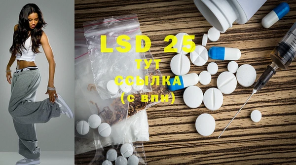 PSILOCYBIN Вяземский