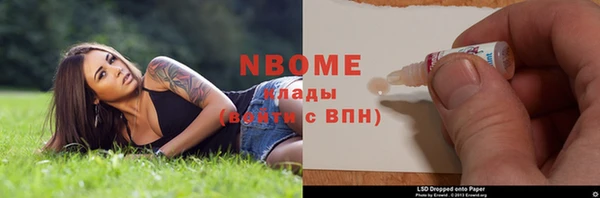 PSILOCYBIN Вяземский