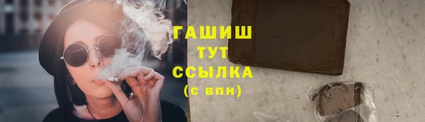 PSILOCYBIN Вяземский