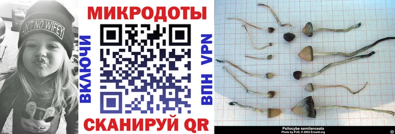 Галлюциногенные грибы ЛСД  купить наркотики сайты  Знаменск 